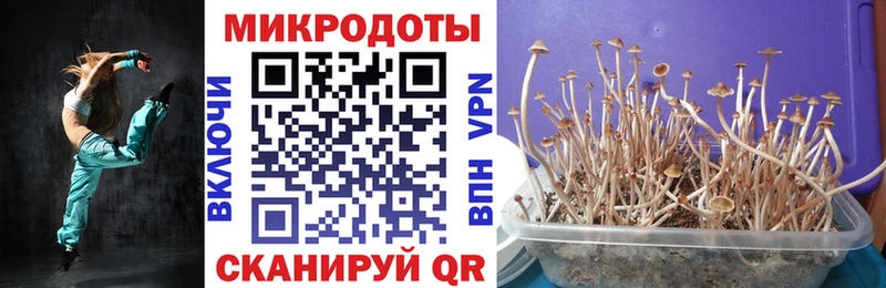 Псилоцибиновые грибы прущие грибы  продажа наркотиков  Кодинск 